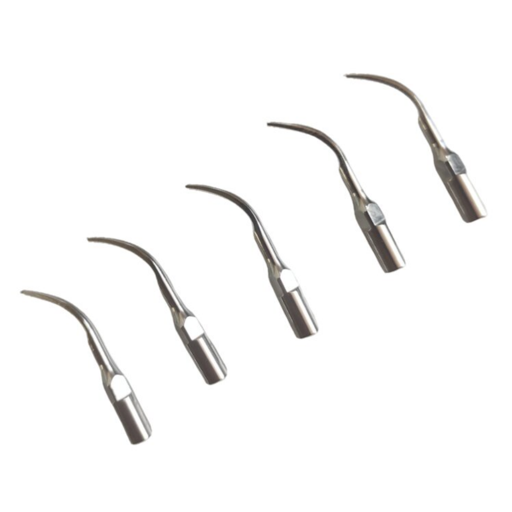 5PCS Dental Scaler Tips Fit EM - Teeth Whitening Shade Guide ulasan dan harga