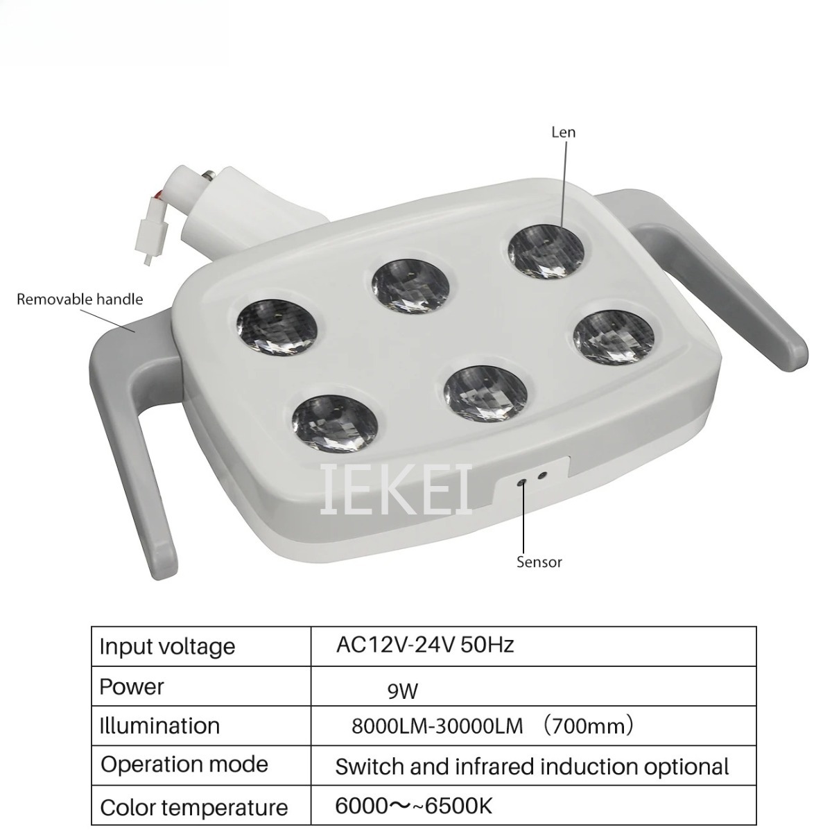 6LED Dental Oral Light Suitabl - Teeth Whitening Dental ulasan dan harga