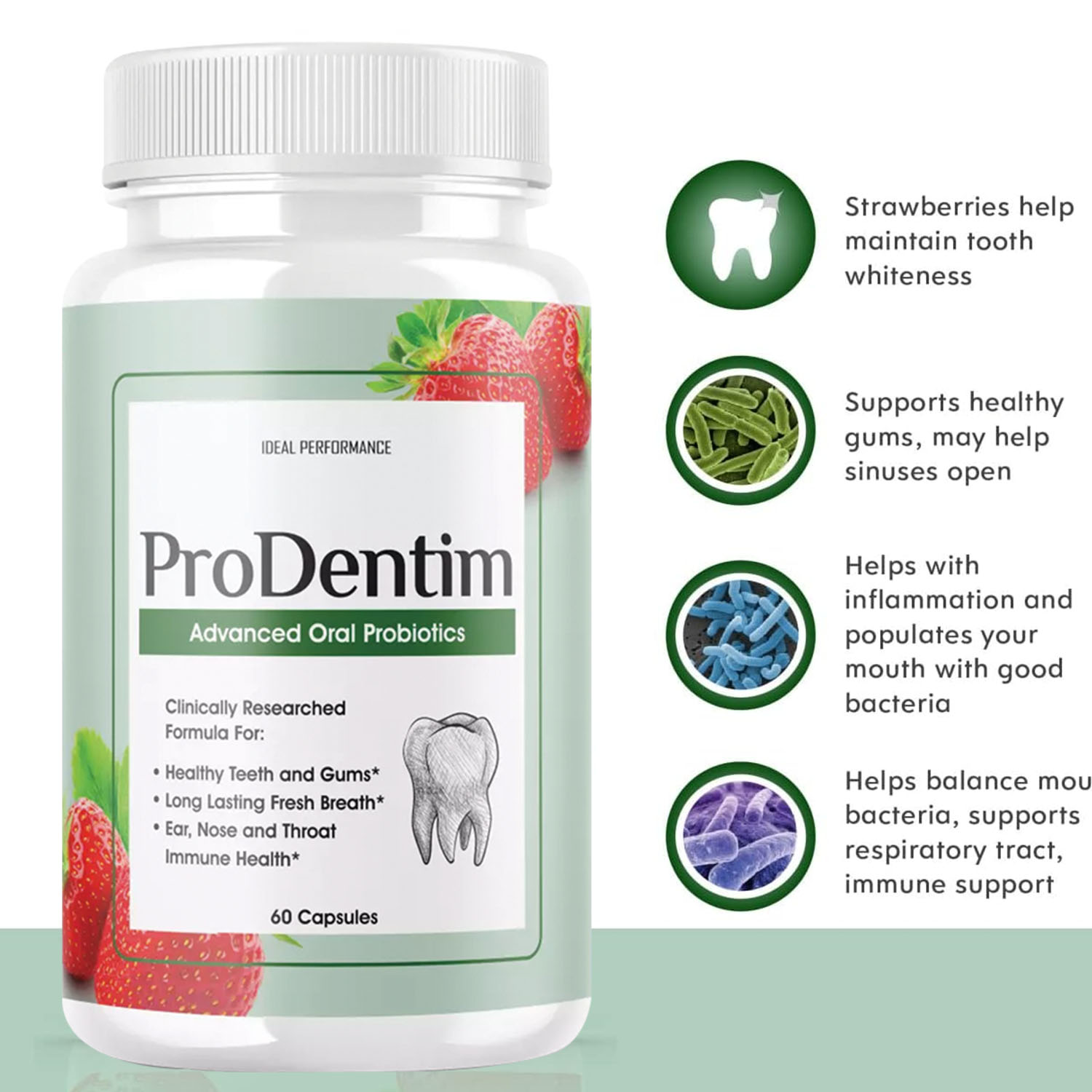 Advanced Oral Probiotics - Pro - Teeth Whitening Enzymes ulasan dan harga