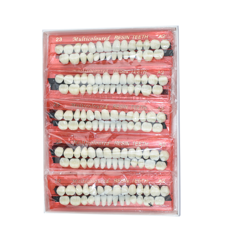 28 Teeth Dental Resin Denture  - Teeth Whitening Shade Guide ulasan dan harga