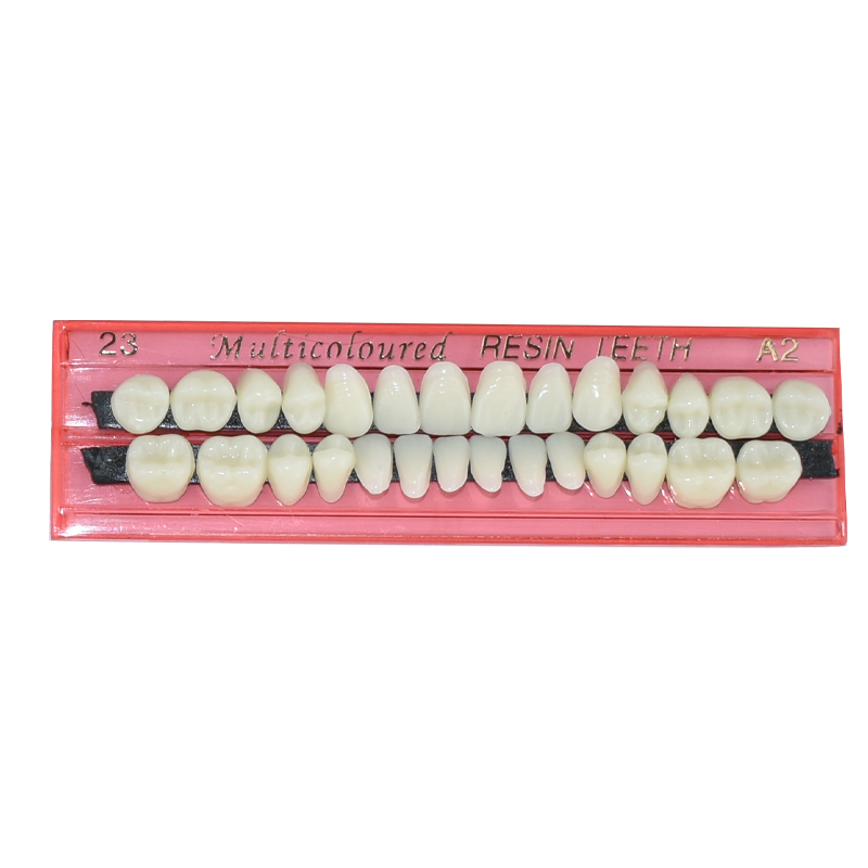 28 Teeth Dental Resin Denture  - Teeth Whitening Shade Guide ulasan dan harga