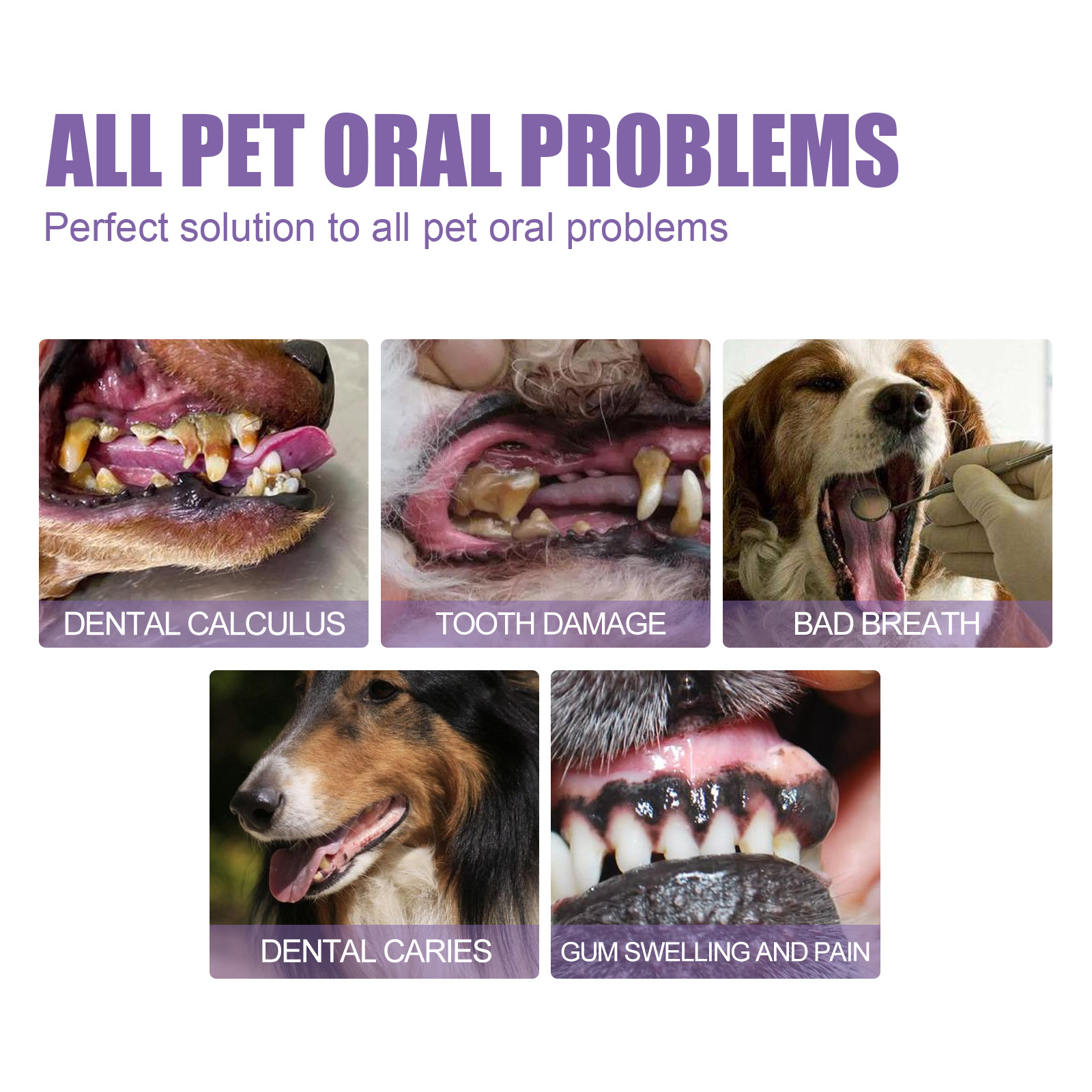 Pet Oral Repair Gel Puppy Tart - Teeth Whitening Foam ulasan dan harga